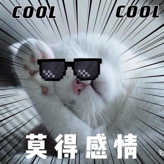 淘宝无货源|真的每天只需要3小时左右就可以搞定了吗?